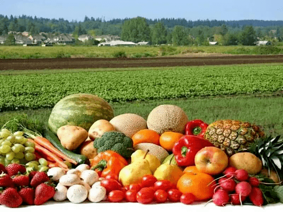 皓谦农家采摘混搭新鲜蔬菜叶菜瓜果套餐5斤多种农副产品
